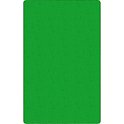 Flagship Carpets Solid Color 12' Rectangular Rug (AS44LG)