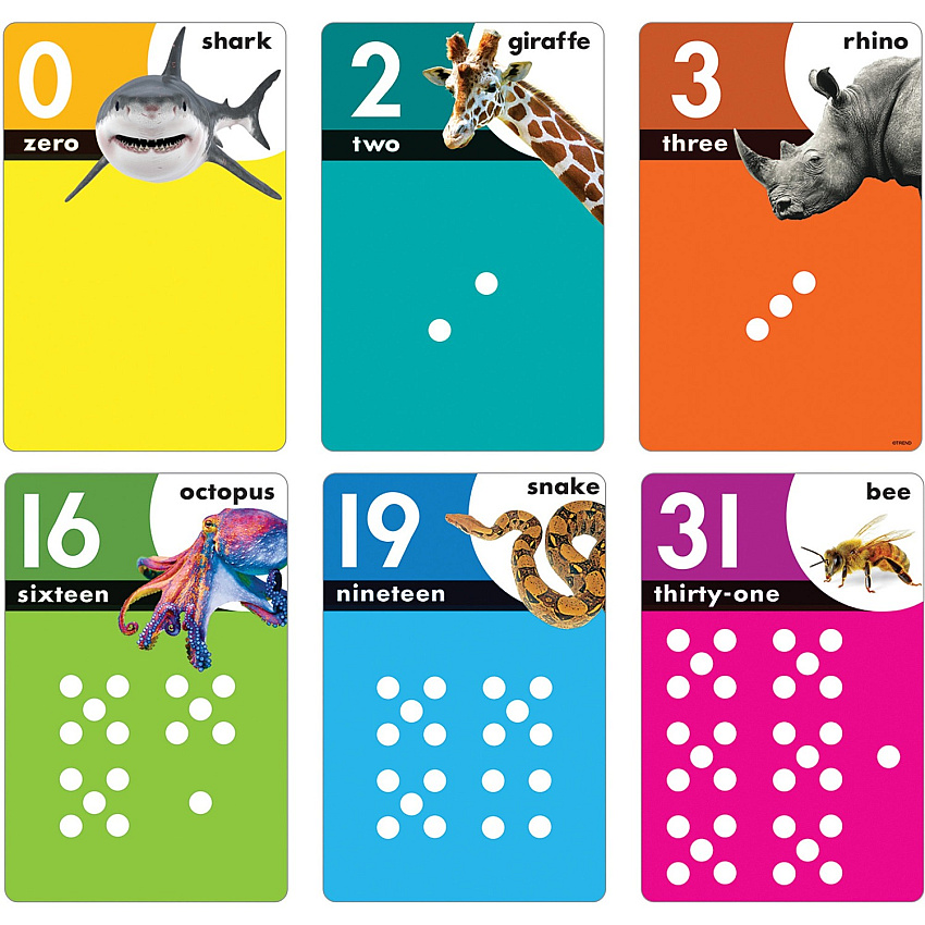 TREND Animals Count 0-31 Learning Set with Numbered Counting Cards (TEPT19008)