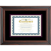 Advantus Double Matted Certificate Frame (AVTVS4501B114)