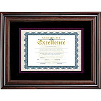 Advantus Double Matted Certificate Frame (AVTVS4501B114)