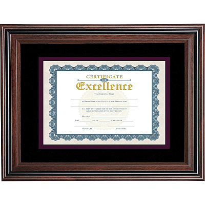Advantus Double Matted Certificate Frame (AVTVS4501B114)
