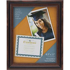 Advantus Certificate Frame (AVTVS4501B811)
