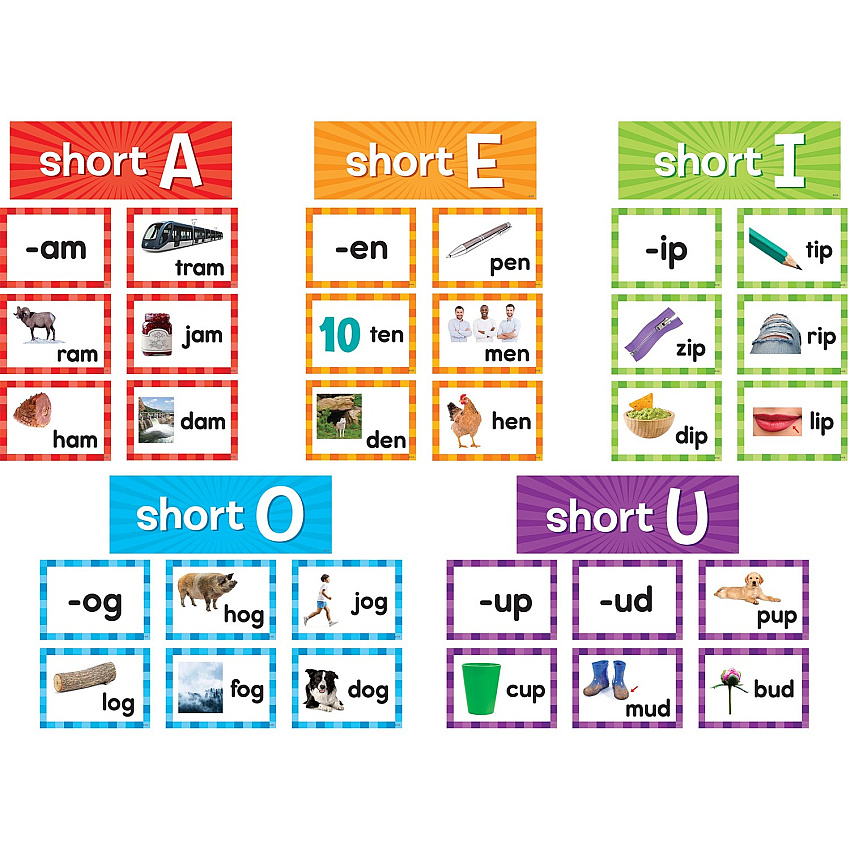 Teacher Created Resources Short Vowels Pocket Chart Cards (TCR20850)