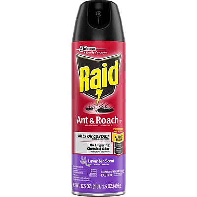 Raid Ant & Roach Killer Spray (334632) (SJN334632EA)