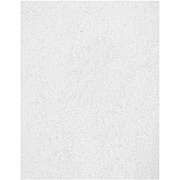 Genuine Joe Polishing Floor Pad (GJOH8054)