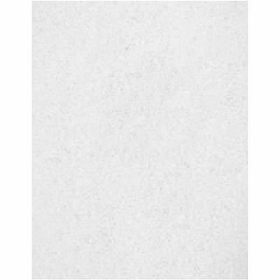 Genuine Joe Polishing Floor Pad (GJOH8054)