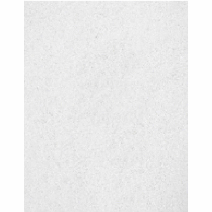 Genuine Joe Polishing Floor Pad (GJOH8054)