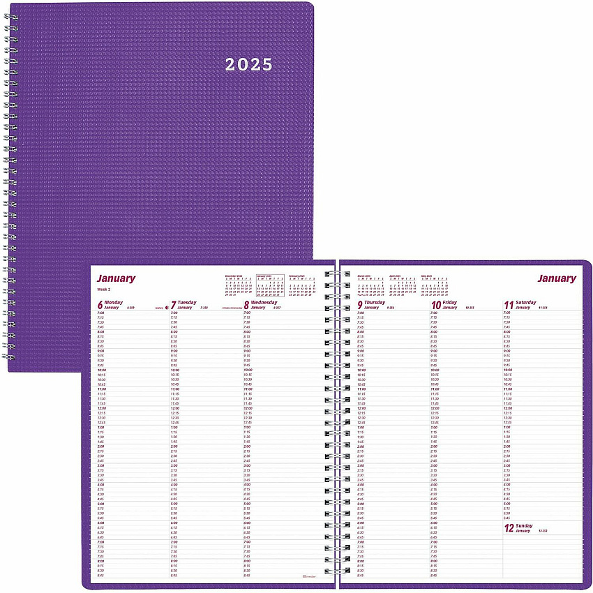 Brownline DuraFlex Weekly Appointment Planner (CB950VPUR)