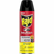 Raid Ant & Roach Killer Spray (SJN365988)