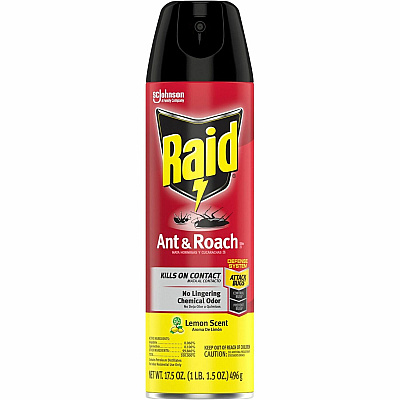 Raid Ant & Roach Killer Spray (SJN365988)