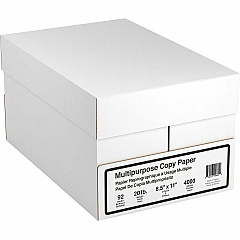Special Buy Economy 20 lb Copy Paper (SPZEC85118RM)