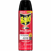 Raid Ant & Roach Killer Spray (SJN366000)