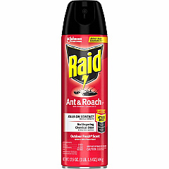 Raid Ant & Roach Killer Spray (SJN366000)