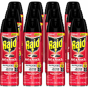 Raid Ant & Roach Killer Spray (SJN366000CT)