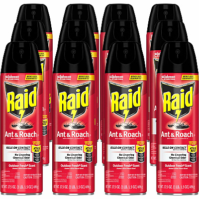 Raid Ant & Roach Killer Spray (SJN366000CT)