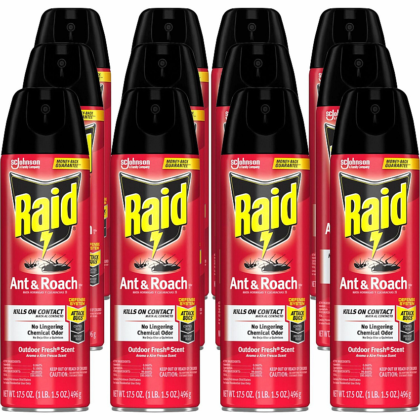 Raid Ant & Roach Killer Spray (SJN366000CT)