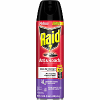 Raid Ant & Roach Killer Spray (SJN365982)