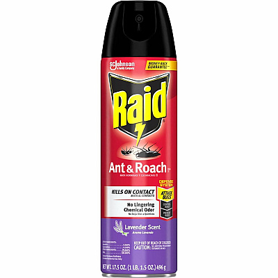 Raid Ant & Roach Killer Spray (SJN365982)