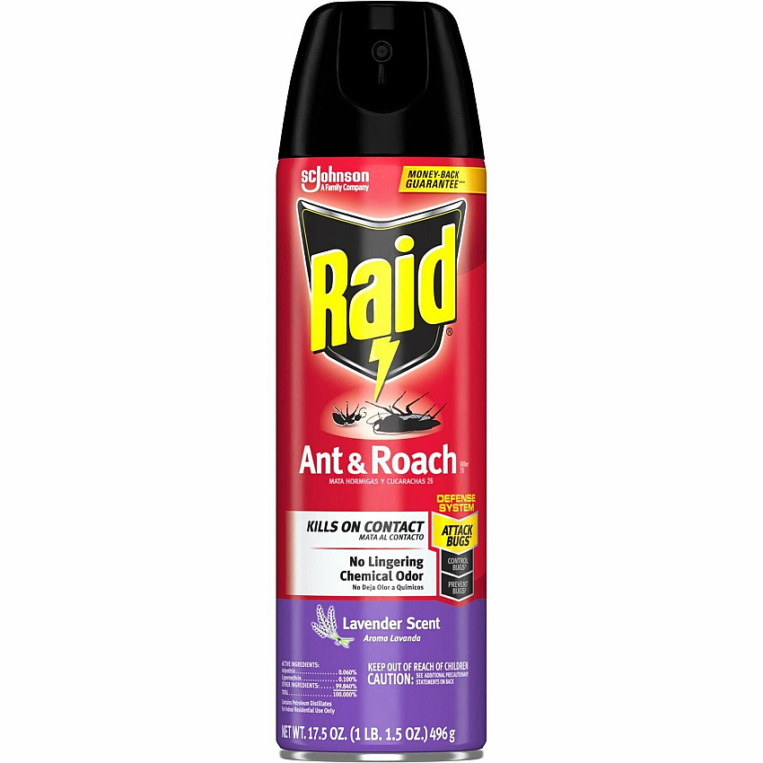 Raid Ant & Roach Killer Spray (SJN365982)