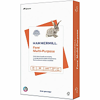 Hammermill Fore Multi-Purpose 20 lb. Paper (HAM103291CT)