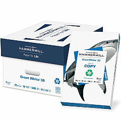 Hammermill Great White 30 Copy Paper (HAM86704CT)