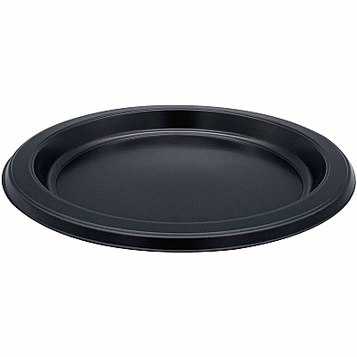 Genuine Joe Disposable Plastic Plate (GJO10332CT)