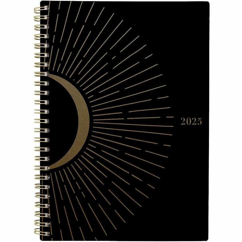 AT-A-GLANCE Radiate Weekly/Monthly Planner (AAG1725905)