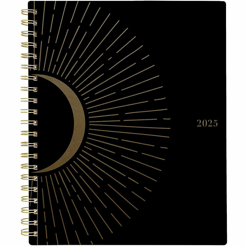 AT-A-GLANCE Radiate Weekly/Monthly Planner (AAG1725200)