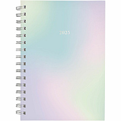 AT-A-GLANCE Ombre Weekly/Monthly Planner (AAG1731200)
