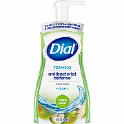 Dial Foaming Hand Wash (DIA34721)