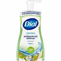 Dial Foaming Hand Wash (DIA34721)