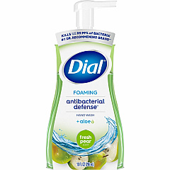 Dial Foaming Hand Wash (DIA34721)
