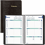 Rediform Plan and Link Weekly Appointment Planner (REDC507581T)
