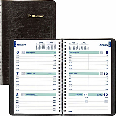 Rediform Plan and Link Weekly Appointment Planner (REDC507581T)