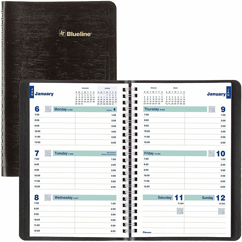 Rediform Plan and Link Weekly Appointment Planner (REDC507581T)