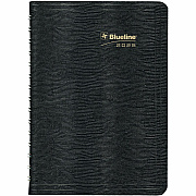 Rediform Plan and Link Daily Appointment Planner (REDC1504W81)