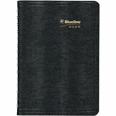 Rediform Plan and Link Daily Appointment Planner (REDC1504W81)