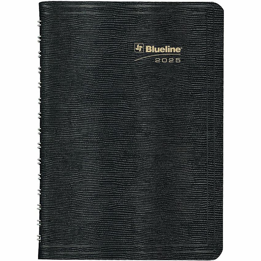 Rediform Plan and Link Daily Appointment Planner (REDC1504W81)