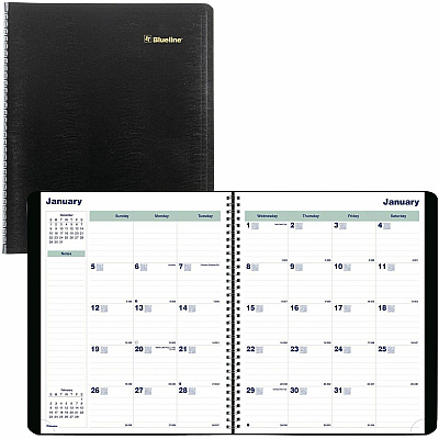 Rediform Plan and Link 16-Month Monthly Planner (REDC151281T)