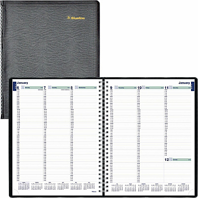 Rediform Plan and Link Weekly Appointment Planner (REDC595081T)