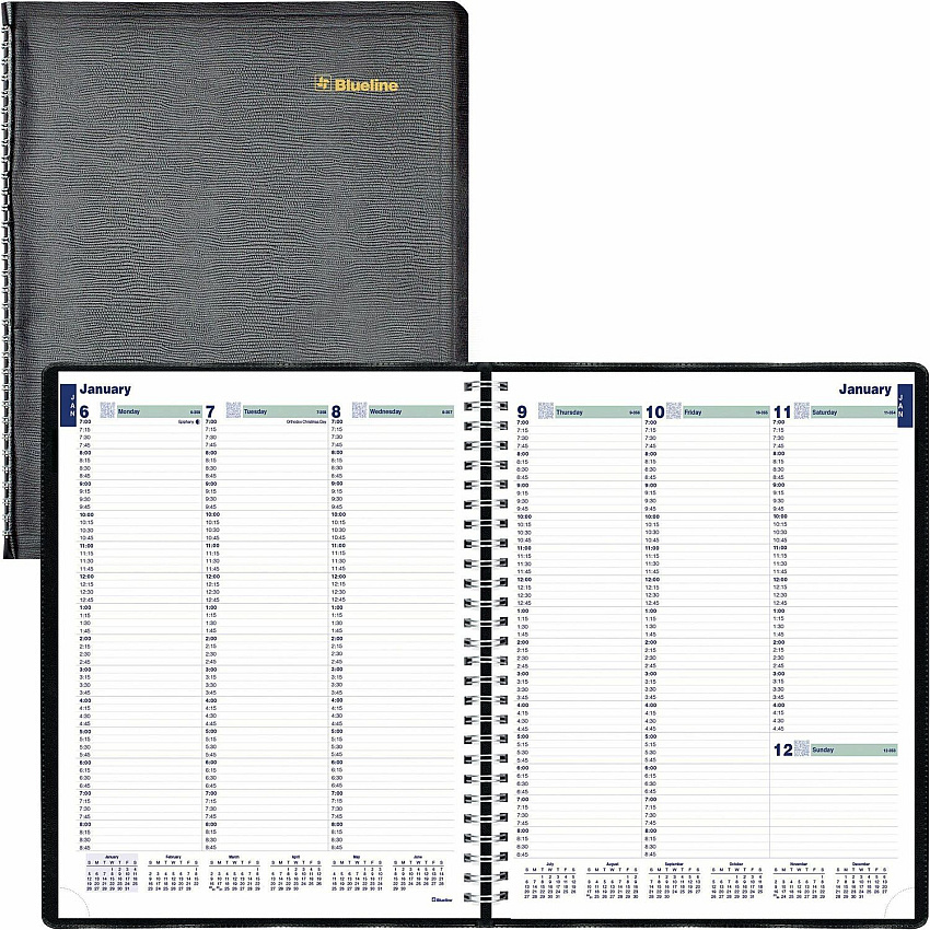 Rediform Plan and Link Weekly Appointment Planner (REDC595081T)
