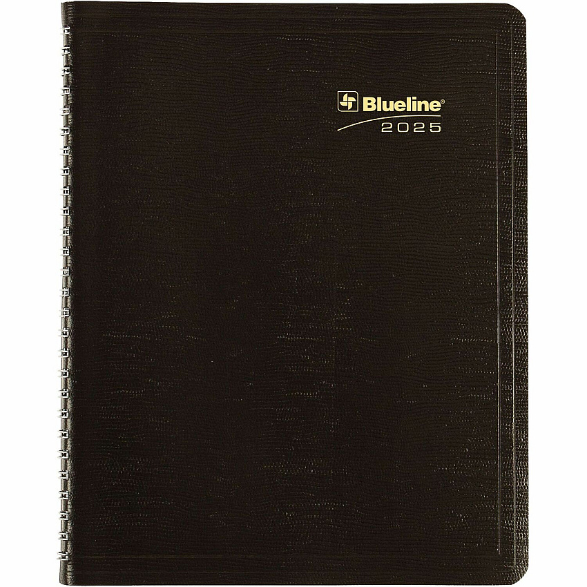 Rediform Plan and Link 16-Month Monthly Planner (REDC120081T)