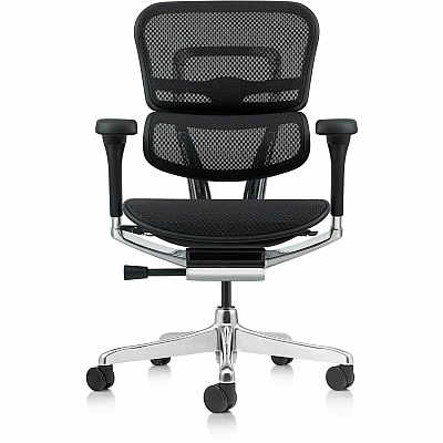 Eurotech ErgoHuman Gen2 Executive All-Mesh Chair (ME8ERGLOG2BK)