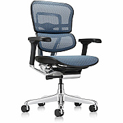 Eurotech ErgoHuman Gen2 Executive All-Mesh Chair (ME8ERGLOG2BL)