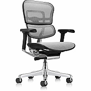 Eurotech ErgoHuman Gen2 Executive All-Mesh Chair (ME8ERGLOG2GY)