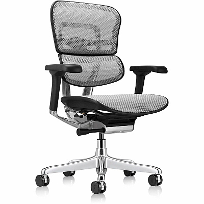 Eurotech ErgoHuman Gen2 Executive All-Mesh Chair (ME8ERGLOG2GY)