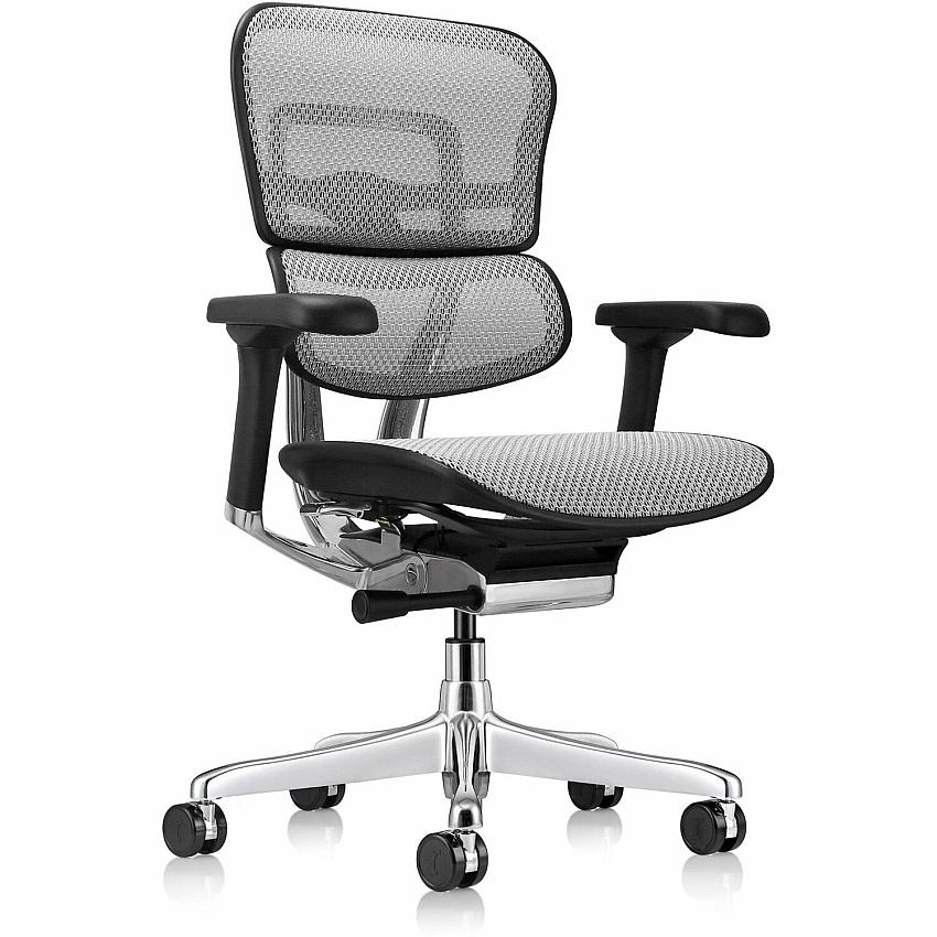 Eurotech ErgoHuman Gen2 Executive All-Mesh Chair (ME8ERGLOG2GY)