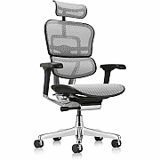 Eurotech ErgoHuman Gen2 Executive All-Mesh Chair (ME7ERGG2GY)
