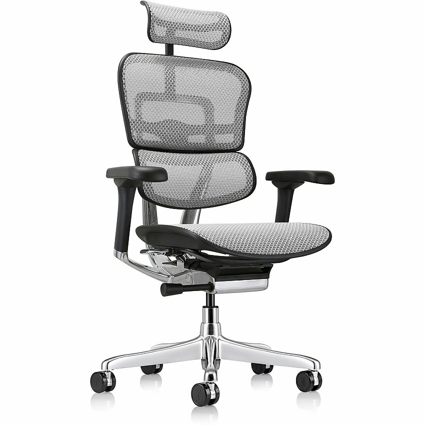 Eurotech ErgoHuman Gen2 Executive All-Mesh Chair (ME7ERGG2GY)