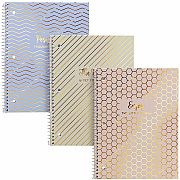 PUKKA PAD Haze Notebook (9978ASTHZE)